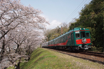 九度山駅~学文路駅桜並木の写真